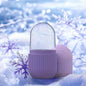 IceGlow Skincare Roller